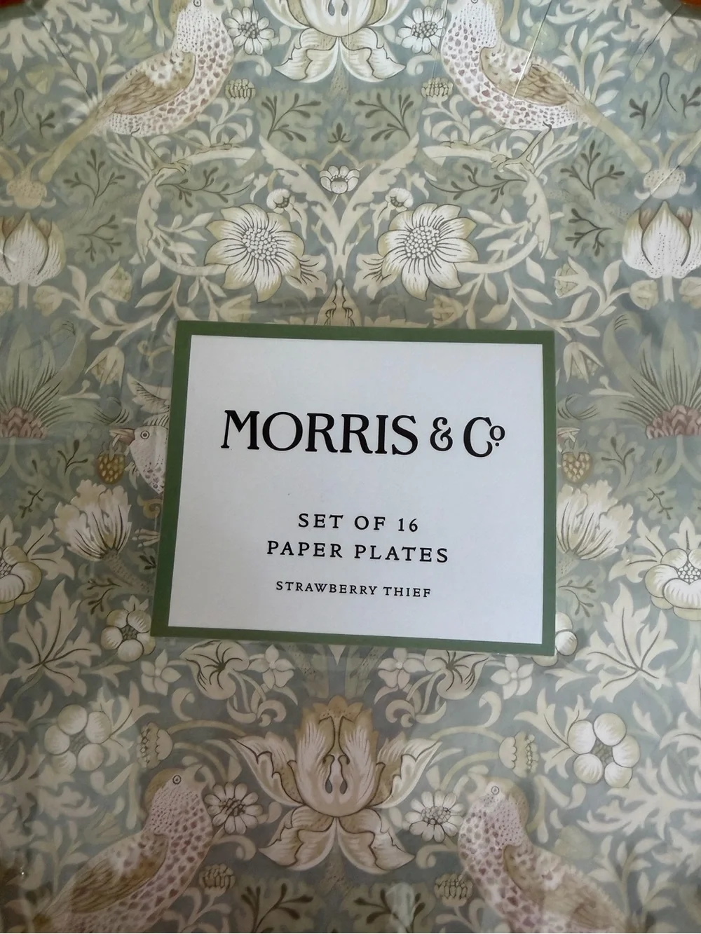 Morris & Co. NWT Strawberry Thief 10